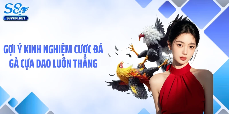 Gợi ý kinh nghiệm cược đá gà cựa dao luôn thắng